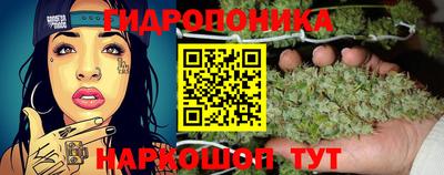ГАЛЛЮЦИНОГЕННЫЕ ГРИБЫ Будённовск