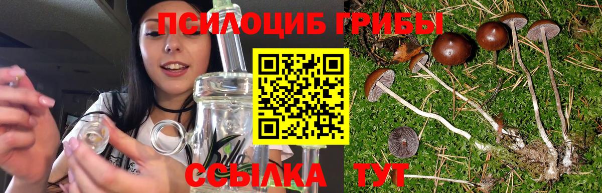 Родники  Псилоцибиновые грибы Magic Shrooms  Вход с VPN 