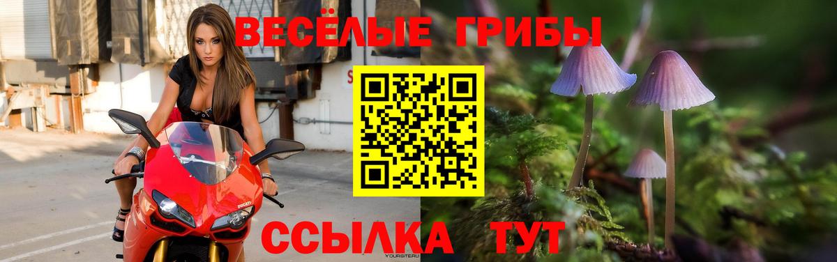 Псилоцибиновые грибы мицелий Родники
